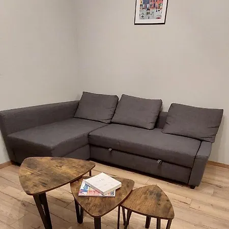 公寓 Apartament Old Town